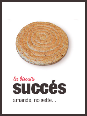 biscuit succes