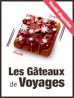 les gateaux de voyages en cours